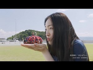 【日本CM】仲間由紀惠中條彩未帶你暢遊山陰瀨戶內特色景點