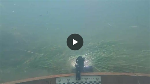 Living Dikes Team at OSM 2026: Delta Flume Experiment Results | Living Dikes posted on the topic | LinkedIn