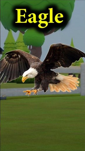 Learn Bird Names | 3d animation shorts | Cow Walk | Birds for Kids | Pre-KG | KG | Toddlers | Rhymes