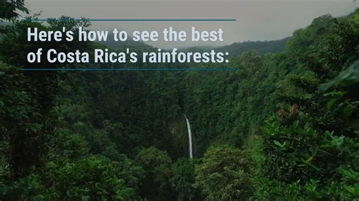 5.9K views · 55 reactions | Here's how to see the best of Costa Rica's rain forests — from mesmerizing cloud forests to tropical oases bursting with wildlife: bit.ly/3Nc6E4y | Travel + Leisure | Facebook