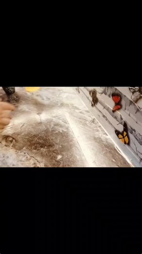 Alphabet Donuts 🍩. #donuts 🍩#brownies #chocolatelovers #fypagetiktok #videoviral #fypシ゚ #❤️❤️❤️