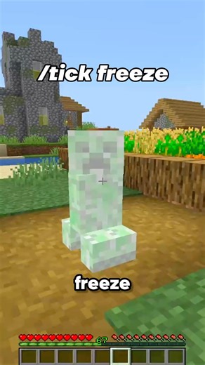 SECRET Minecraft commands you didn’t know about! 🐝