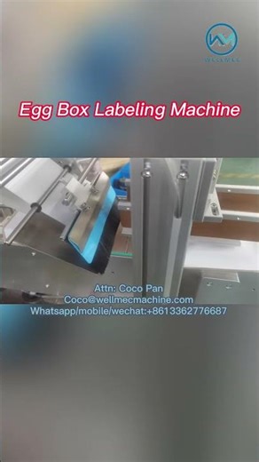 Flat Surface Labeling Machine, Egg Tray Egg Box Adhesive Label Dispenser, Labeller #labelingmachine