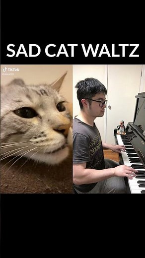 Sad Cat Waltz