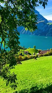 2.9K reactions · 191 shares |  Rediscover the Songs You Love  Relive precious memories with our USB of classic old songs. Each track takes you back to special moments and warm memories. | Sofia Gonzales | Facebook