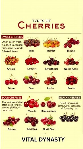 Types of Cherries: Sweet, Sour & Black Cherries for Every Use 🍒