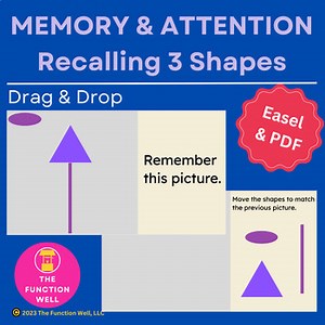 Memory, Attention, Visuospatial Activity - Recalling 3 Shapes in Pictures ADULTS