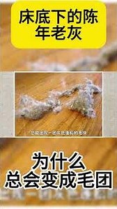 What Are Dust Bunnies? The Old Dust Under Your Bed, Why It Always Turns Into Fur Balls, Science E...