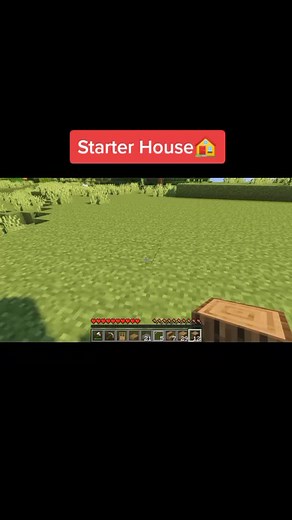 Minecraft Starter House Building Tutorial