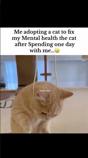 Mental#tweetreels#aesthetic#lofichill #brokenheart#sadquotes#sad #lofimusic#thoughts#aestheticstatus