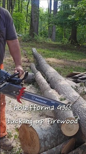 Bucking up good old firewood. #chainsaw #holzfforma