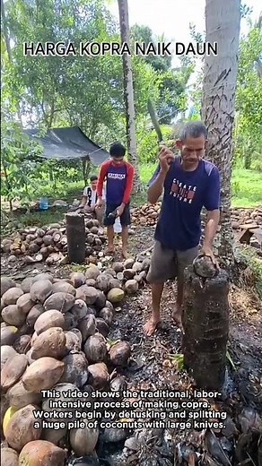From Coconut to Copra: The Traditional Process