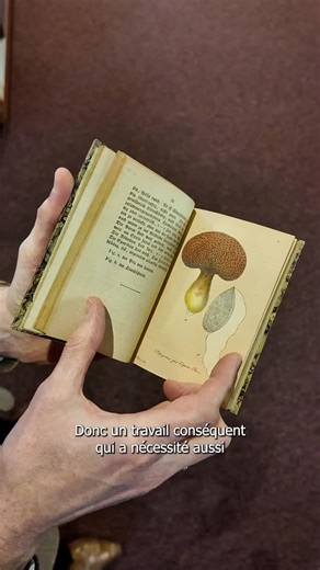 Jardin botanique de Genève on Instagram: "📖Trésors de la bibliothèque : Deutschland Flora in Abbildungen de Jacob Sturm et son fils Johann Wilhelm Sturm Ces ouvrages assez atypiques par leur petitesse constituent une flore en microformat ! ✨ Les deux auteurs ont choisi un format très différent des formats classiques de l’époque avec pour but de rendre leur œuvre accessible aux scientifiques qui, bien souvent, avaient peu de moyens. Le premier fascicule étant sorti en 1736. 🔬 Les formats préfér