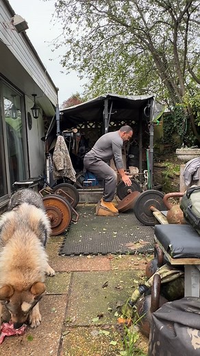 Slant board squats with double plates — full quad recruitment, VMO activation, knees bulletproofed. Controlled range > heavy ego lifts. Noodle supervising from the back, chewing through his own workload. The weight for squats is easy, getting it into position is the challenge. Holding 2 plates in this position will challenge grip and core stability as well as shoulders and arms. #LongevityStrength #MasonSurvival #wolfdog #squats #legday #oldmanstrength | Michael Mason