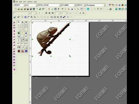 Placing a Picture on a PC-DMIS Form