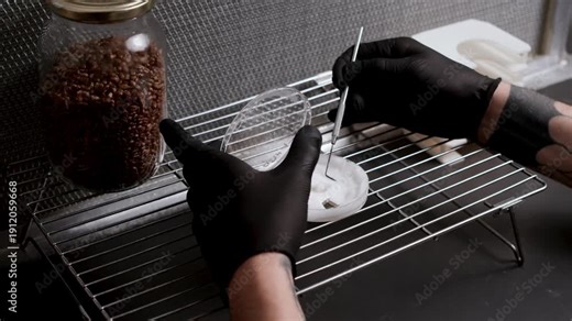 Petri dish of white mycelium is carefully opened before a sterile tool cuts and lifts square agar fragments, showing controlled aseptic handling in a biotechnology lab under laminar airflow hood.