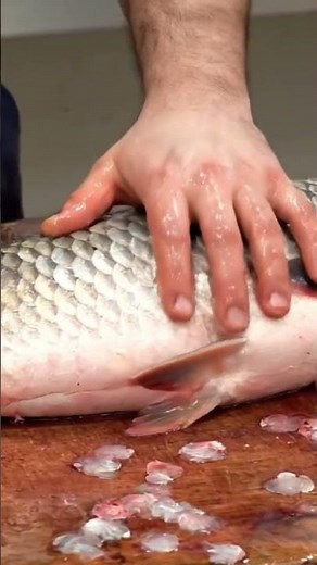Master Fish Cutting – Pro Carp Filleting Technique in Action