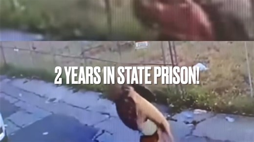 4.8K views · 398 reactions |  ANIMAL ABUSER ARRESTED — CONVICTED —...