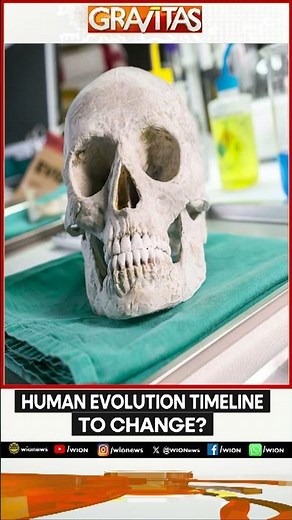 Could A Skull Unearthed In China Hold The Key? | GRAVITAS | WION Shorts
