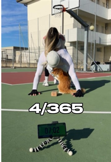 10 Push Up Challenge: Giorno 4 di 365