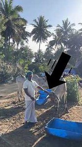 ⭕️ பல நம்மாழ்வார்கள் 🌿 உருவாக்கப் போகிறார்கள் #nammalvar #eyarkaiyaalan