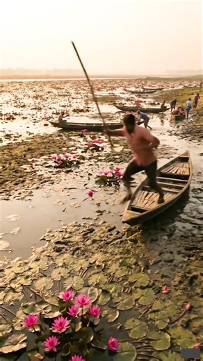 Wow! Amazing Polo Fishing Videos ! Best Big Fish Catching ! Primitive Technique fishing #fish #india