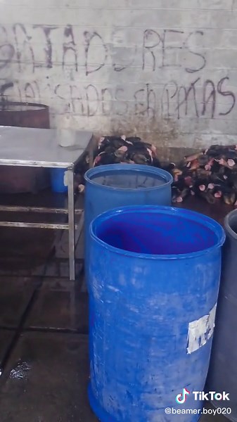 ¿Efectivo o cocaína? ¡Tú eliges la quincena!