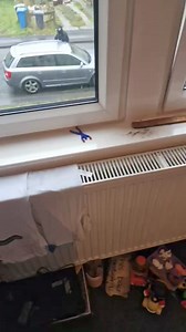 Imagine looking out your window this morning and seeing this 😂😂😂 | Fife jammer locations