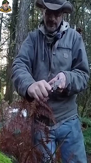 The Cleanest Cuts I've Seen a Knife Make #shorts #knife #sharp