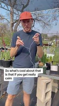 PlantWave explained