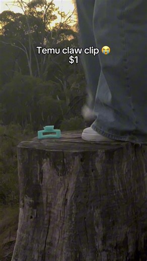 Claw Clip Durability Test: Who Comes Out on Top?