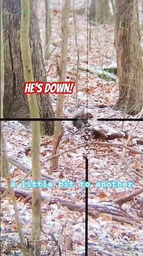 Hunting SQUIRRELS in the SNOW! #squirrel #squirrelhunting #hunting #snow #countrymusic