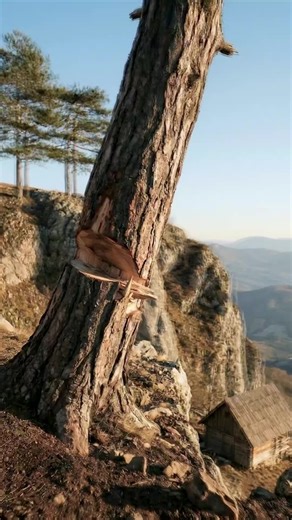 Watch Out for the Snapping Tree!