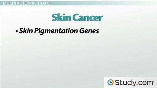 Multifactorial Trait | Definition, Examples & Genetic Research