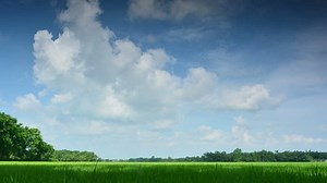 clip-19001929-cloud-time-lapse-over-lush-asian-green