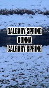 Calgary spring gonna Calgary spring… | Virgin Radio Calgary | Facebook
