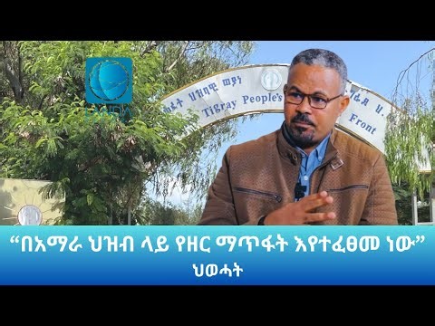 “ፋኖ ለማጥፋት እንድንሳተፍ በይፋ ተጋብዘን፣ አልተቀበልነውም” አማኑኤል አሰፋ: የህወሓት ምክትል ሊቀመንበር: Landa Report