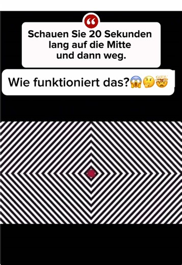 Optical Illusions: Test Your Vision Skills