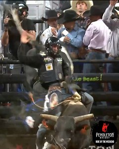 149K views · 3.4K reactions | What. A. Ride. Mauricio Moreira and WSM's Jive Turkey connected for a rank 94.25 points earning the highest score of the 2022 PBR World Finals! (Pendleton Whisky) | PBR | Facebook