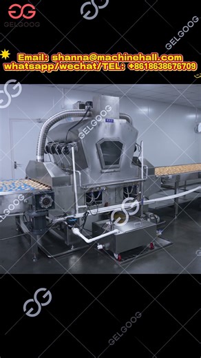 Fully Automated Compressed Biscuit Production Line | GELGOOOG