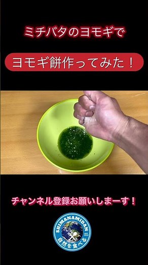 道端に生えてるヨモギで超簡単ヨモギ餅作ってみた！！ #しまなみ団 #ヨモギ #よもぎ #よもぎもち #よもぎ餅 #ヨモギ餅