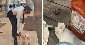 50 Hilarious Dog Moments Caught On Camera, As Shared By “Important Animal Images” (New Pics)