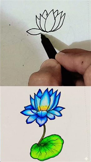 Lotus Flower Drawing Made Easy | Step by Step for Beginners #shorts #art #drawing