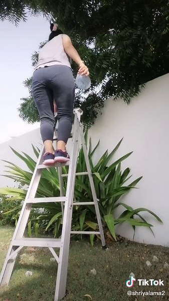 Climbing a Ladder in a Garden: Outdoor Fitness Fun