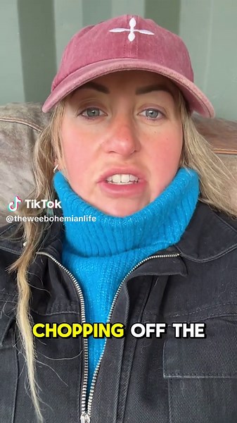 Finally got round to removing the shipping container doors #containerhouse #containerhome #offgridliving #offgirdlife #tinyhome