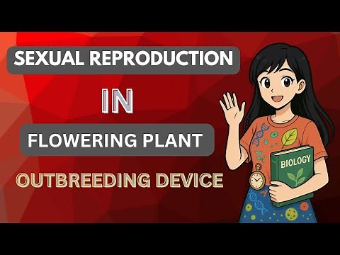 Outbreeding Devices | Class 12 Biology | Detailed Explanation 🌺