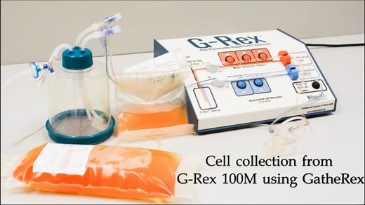 【教程】CAR-T细胞治疗GMP生产技术G-Rex培养系统