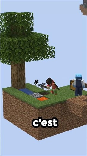 J’ai trouvé LE serveur Minecraft Skyblock en 2026