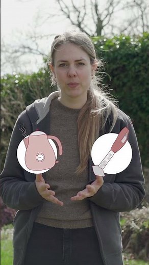 Le Sel, le Vinaigre et l'Eau de Javel sont interdits dans le jardin ⚠️