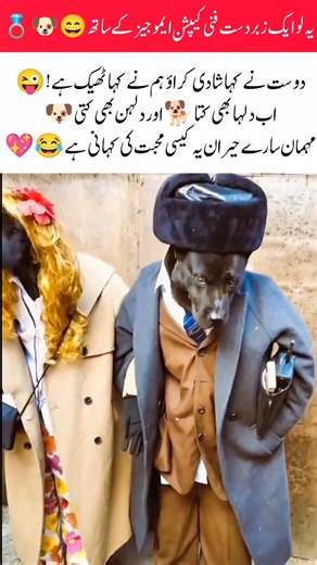 When your friend takes arranged marriage a little too seriously and the bride & groom both bark 🐕💒😂